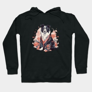 Border Collie in a Kimono Hoodie